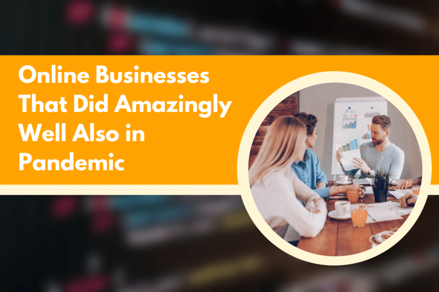 Online Businesses That Did Amazingly Well Also in Pandemic