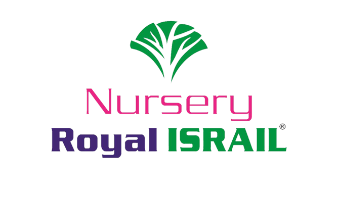 nursey logo
